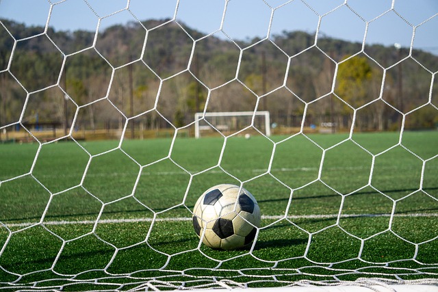 陈忠和以他 陈忠和以他