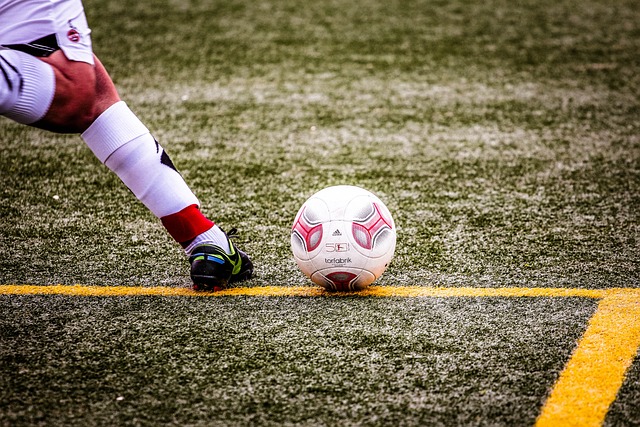 但布鲁日的 但布鲁日的