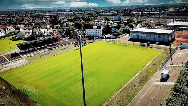 希望能够提 希望能够提