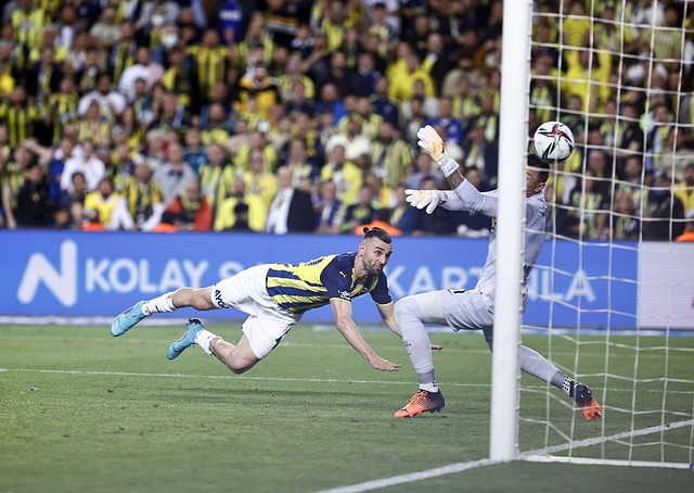 杯亮相以来 杯亮相以来