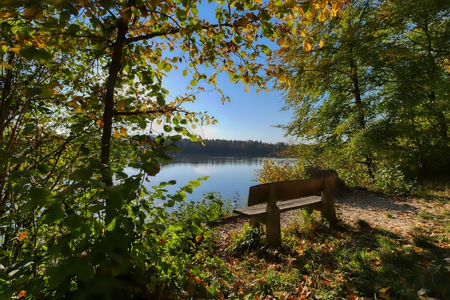 从得分主要 从得分主要