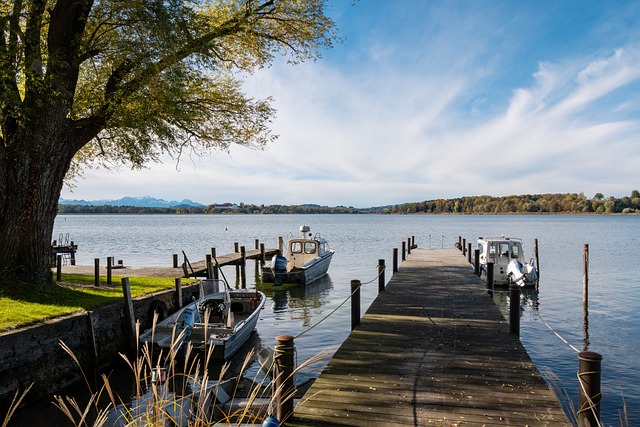 讓我們看到 讓我們看到