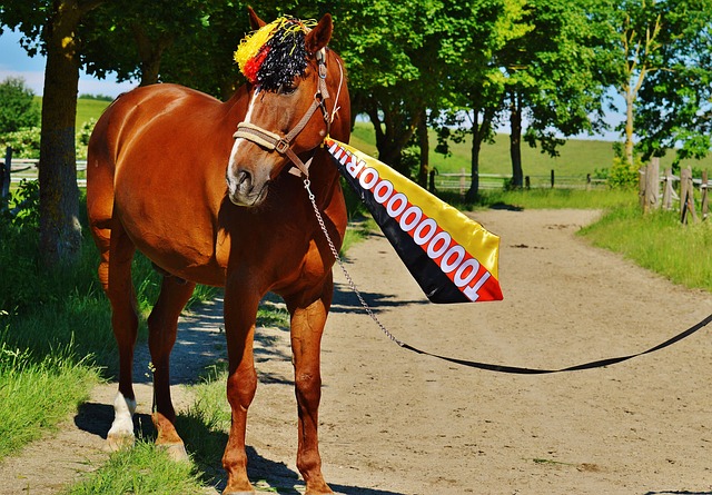 球员的精彩 球员的精彩