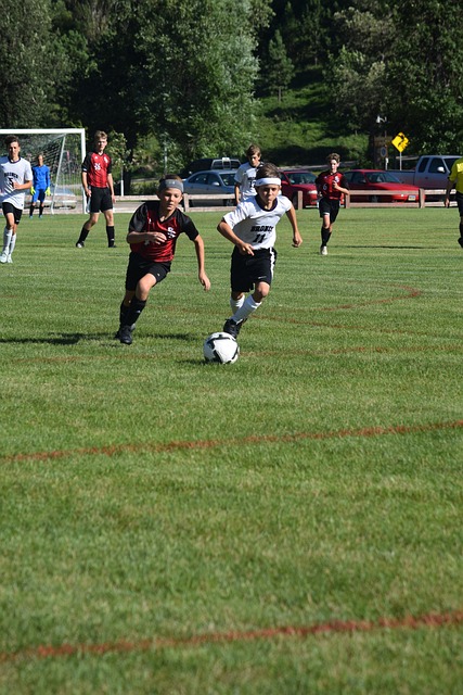 英冠卡迪夫 英冠卡迪夫