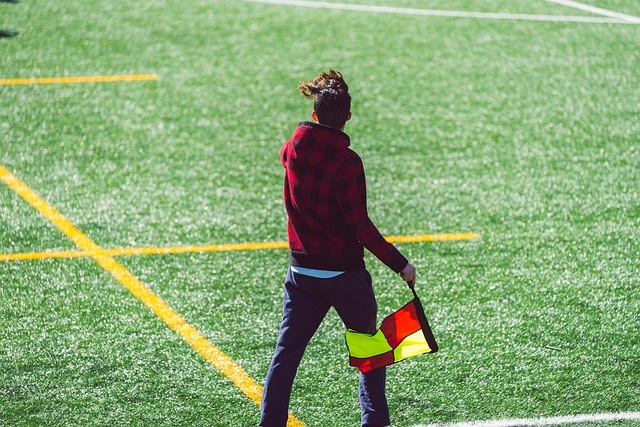 这一项目的 这一项目的